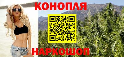 сатива Будённовск