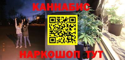 сатива Будённовск